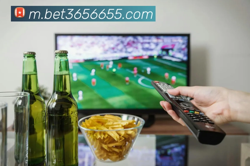 bet365中国官网APP 封面图
